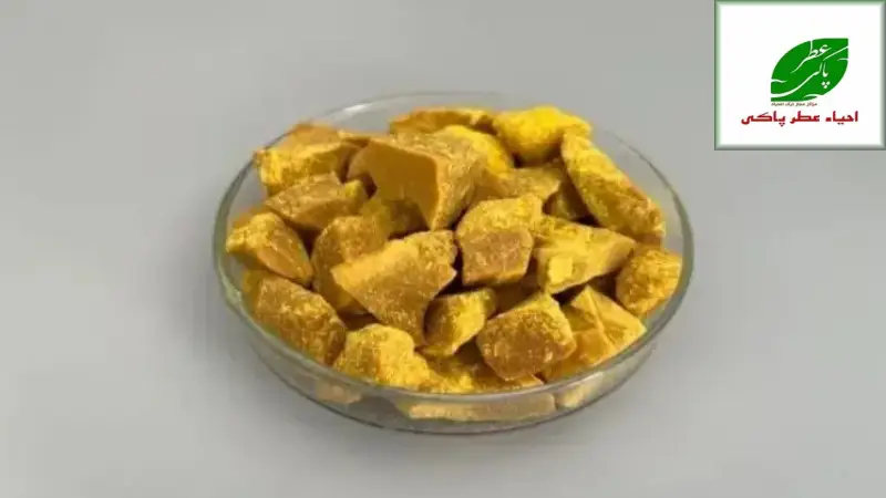 چالش ها و نکات مهم در طول مسیر ترک