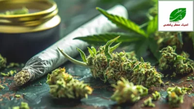 عوارض بلند مدت ماری جوانا بر جسم و روان چرا ترک آن ضرورت دارد؟