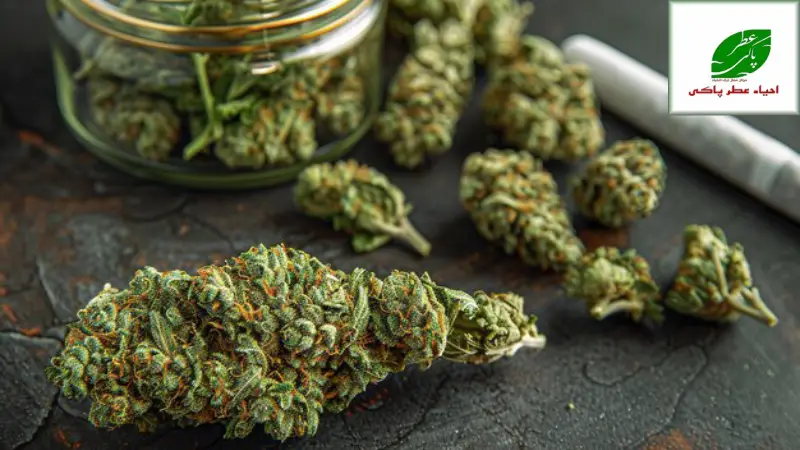 عوارض بلند مدت ماری جوانا بر جسم و روان : چرا ترک آن ضرورت دارد؟ 3 🚪چرا ترک ماری جوانا یک ضرورت حیاتی است؟