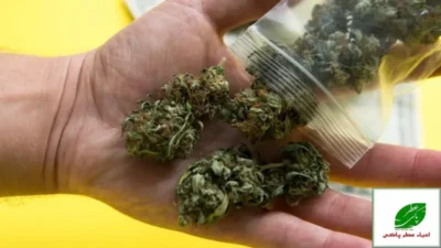 ترک اعتیاد اسپایس راهنمای کامل، درمان های نوین و بازگشت موفق به زندگی