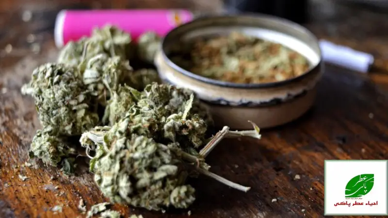 ترک اعتیاد اسپایس: راهنمای کامل، درمان های نوین و بازگشت موفق به زندگی 4 توانمندسازی و پیشگیری از عود کلید موفقیت پایدار