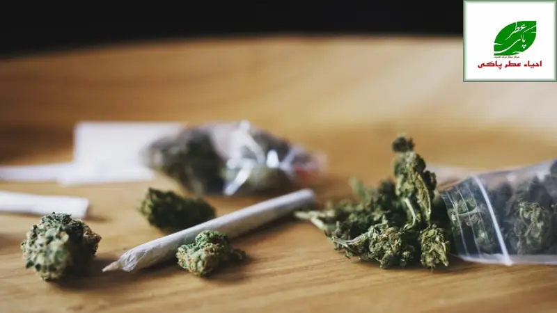 ترک اعتیاد اسپایس: راهنمای کامل، درمان های نوین و بازگشت موفق به زندگی 2 شناخت اسپایس ماده ای که مرگ را به کام میآورد