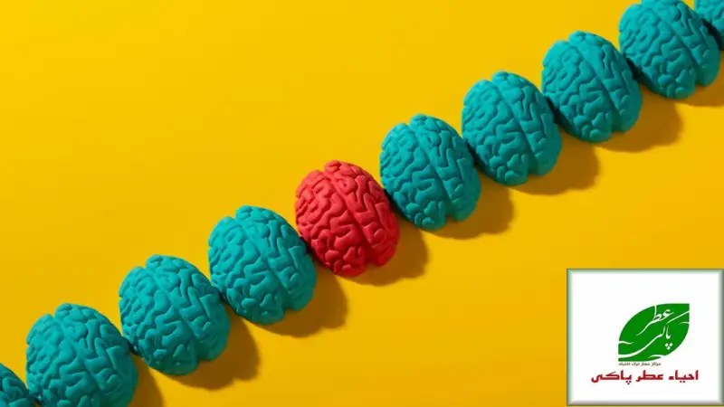 نورودایورسیتی یا تنوع عصبی چیست؟ راهنمای جامع 2025 برای درک تفاوت های مغزی 3 مزایای نورودایورسیتی در محیط کار