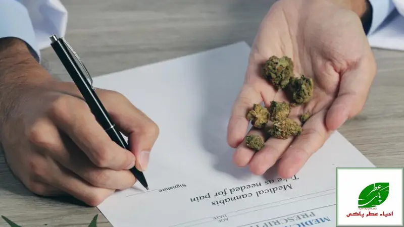 عوارض وحشتناک گل روی حافظه بلندمدت | بررسی علمی، روانی و مغزی مصرف ماری جوانا 3 مصرف گل در نوجوانی یک فاجعه خاموش