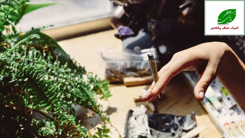 عوارض وحشتناک گل روی حافظه بلندمدت | بررسی علمی، روانی و مغزی مصرف ماری جوانا 4 وابستگی روانی و چرخه تخریب حافظه