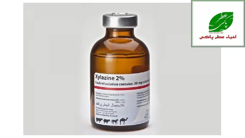 زایلازین (مواد مخدر زامبی)؛ تهدید جدید سال 2026 3 پیشگیری و مقابله با تهدید زایلازین راهبردها و راهکارهای مؤثر