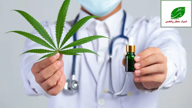 عوارض وحشتناک گل روی حافظه بلندمدت | بررسی علمی، روانی و مغزی مصرف ماری جوانا 2 چرا باید درباره حافظه و گل جدی صحبت کنیم؟